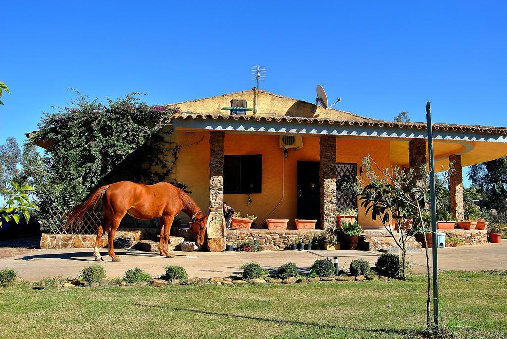 Agriturismo Monte Majore Siliqua Kültér fotó